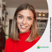 SunriseInvesting team office dream working GIF