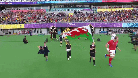 World Rugby Sport GIF by Rugby World Cup