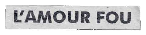Indochine Sticker by Sony Music France