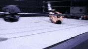 SHWAWrestling bulldog tantrum perth pro wrestling southern hemisphere wrestling alliance GIF