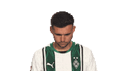 Look Up Borussia Moenchengladbach Sticker by Bundesliga
