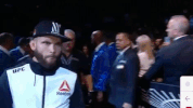 ufc 205 GIF