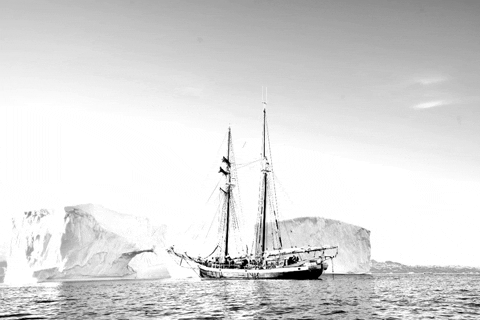 nilslarsen giphygifmaker GIF