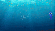 GIF by Disney/Pixar's Finding Dory