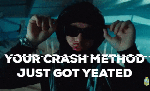 Prisuhmm giphygifmaker crash method GIF