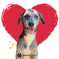 Dog Love Sticker by Pawssion Project Foundation Inc.
