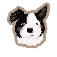 Bordercollie Sticker