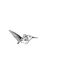 California Native Plants Sticker by MiniNature Reserve