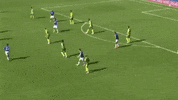 cartoleiros premier league everton james rodriguez richarlison GIF