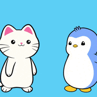 Cats Kitty GIF by Silly Kitties