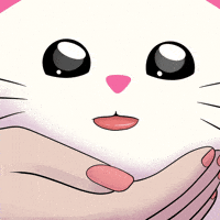 Cute Cat GIF by Silly Kitties