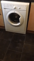 Washing Machine Drops Sick Beat