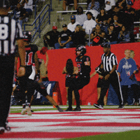 bulldogbread football touchdown bulldogs fresno state GIF