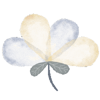 Flower Watercolor Sticker