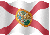 state flag florida GIF
