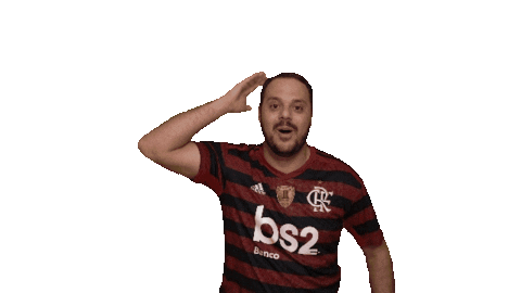 Rogerabrantes Issoaquieflamengo Sticker by IBPD