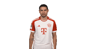Bayern Munich Football Sticker by Bundesliga