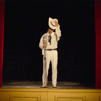 Country Music Performance GIF by Sam Williams