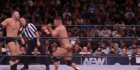 All Elite Wrestling GIF by AEWonTV