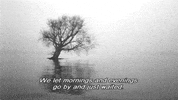 wim wenders GIF by Maudit
