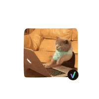 Code Working Sticker by Digital House