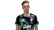 Fifa Ea Sticker by SV Werder Bremen