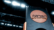 ncaasports hockey college ncaa ice GIF