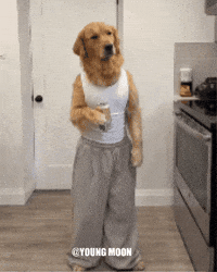 Dance Fun GIF