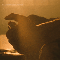Angry War GIF by La Guarimba Film Festival