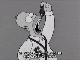 homer simpson GIF