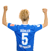 Fussball Sticker by TSG Hoffenheim