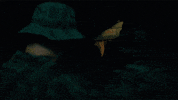 Sealteam GIF by Paramount+