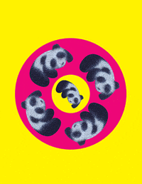 panda obey GIF by G1ft3d