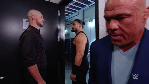 Roman Reigns Fighting GIF by WWE