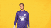 Sport Calstatela GIF by Cal State LA Golden Eagles