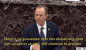 Adam Schiff GIF