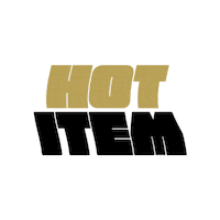House Gold Sticker by VloerenBaas
