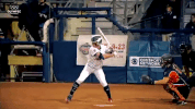 usssapride softball fastpitch usssa npf GIF
