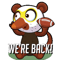 Football Sport Sticker by VeeFriends