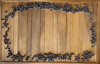 Stop Motion Chocolate GIF by Gannon University