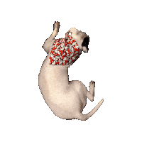 Pokemon Sleep Sticker by Geekster Pets