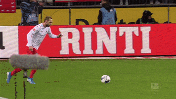 1 Fc Cologne Football GIF by 1. FC Köln