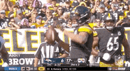 Pittsburgh Steelers Football GIF by NFL