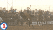 NHSRARodeo rodeo breakaway nhsra bronc GIF