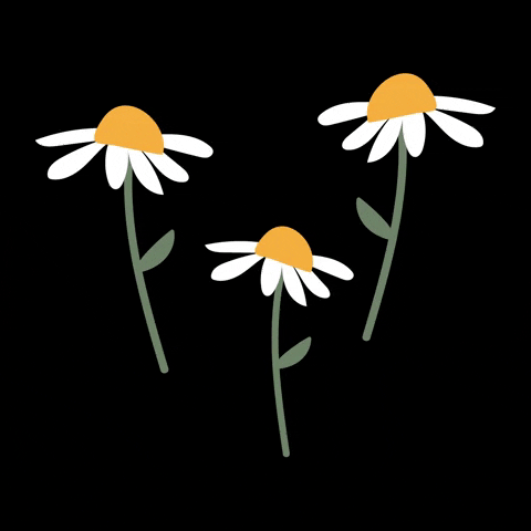 vieeitez giphyupload illustration nature flower GIF