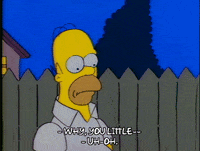 Season 1 GIF by The Simpsons