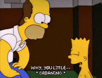 homer simpson episode 10 GIF