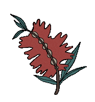 Plants Australiana Sticker by Rip Curl