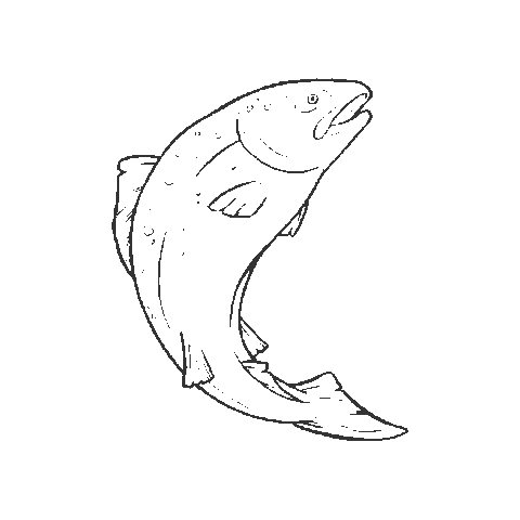 BiosfarVanerskargarden giphygifmaker salmon lax unesco Sticker