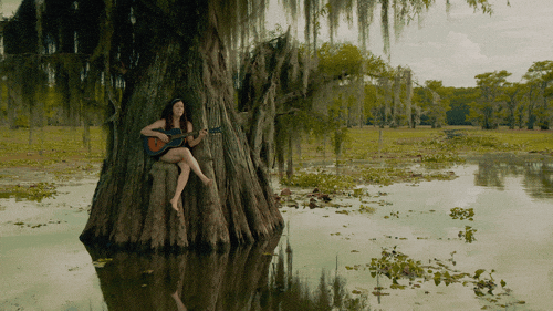 yewknee giphyupload music video bayou caddo lake GIF